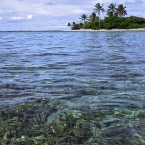 Meet your Posher, Flipper